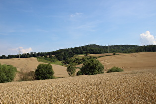 zwischen Hastenbeck und Vorembeck, Blick auf den Schecken