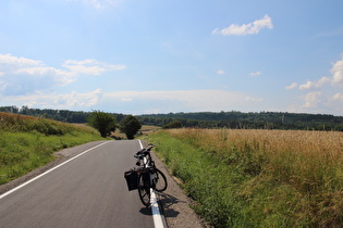 Sattelpunkt zwischen Vorembeck und Völkerhausen, Blick zum Börryer Genossenschaftsforst, …