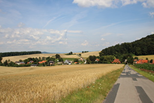 zwischen Völkerhausen und Börryer Genossenschaftsforst, Blick auf Völkerhausen …