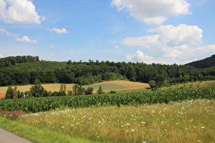 … und Blick nach Nordosten in den Hasselburg