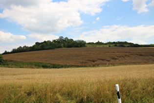 Anstieg von Heyen zum namenlosen Pass zwischen Heyen und Bodenwerder, Blick zur Kleinen Knapp, …