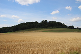 … Blick zum Hangberg, …