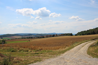 … und Blick zum Köterberg am Horizont