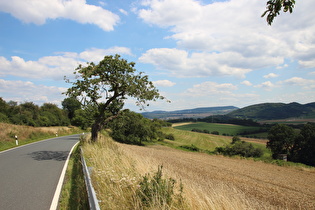 Blick über Golmbach zum Holzberg