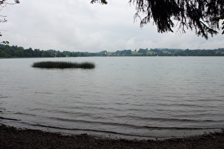 Blick vom Westufer auf Gmund am Tegernsee und Seeglas