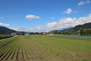 im Inntal nördlich von Kolsass, Blick talaufwärts