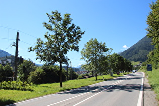 kurz nach Etappenstart, Blick voraus ins Wipptal talaufwärts …