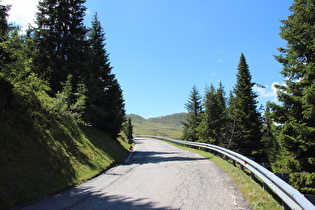 an der montanen Baumgrenze, Blick zur Passhöhe