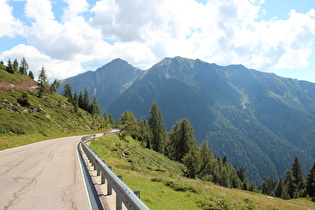 … und Blick bergab auf die montane Waldgrenze