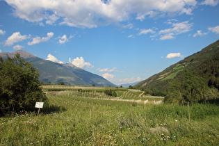 bei Göflan, Blick auf die Talstufe zwischen Göflan und Laas