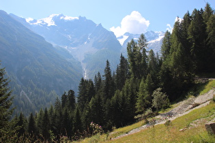 weiter oben, Blick auf Ortler und Kristallkamm