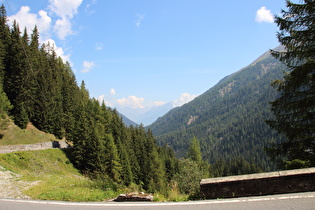 Blick talabwärts zur Schwemser Spitze