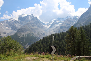 … und Blick auf v. l. n. r. Ortler mit Oberem Ortlerferner, Niederen Ortlerferner und Berge und Gletscher im Kristallkamm