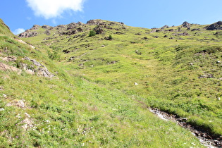 weiter oben, Blick über die montane Baumgrenze