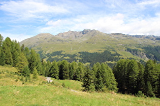 Blick über das Valfurva auf den Monte Confinale