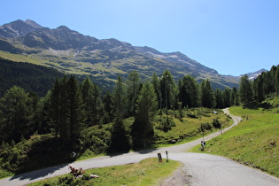 Blick auf v. l. n. r. Pizzo Tresero, Punta Segnale und Punta Sforzellina