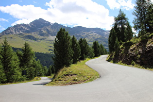 oberste der 10 Kehren, Blick auf Pizzo Tresero und Punta Segnale …