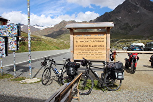 Alpen (Passo di Gavia)