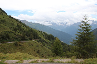 Blick auf die montane Waldgrenze