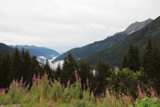 weiter unten, Blick ins Val di Sole talabwärts