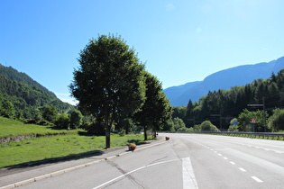 Ostrand von Mestriago, Blick ins Val di Sole talabwärts …