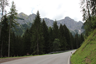 auf 1500 m s.l.m., Blick in die Dolomiti di Brenta …