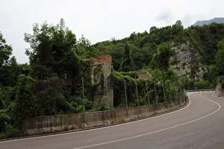 weit fortgeschrittene „Renaturierung“