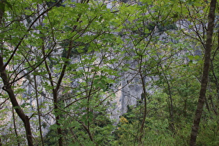 Blick Richtung Talgrund