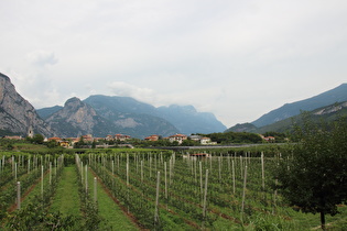 Blick talaufwärts auf Pietramurata …