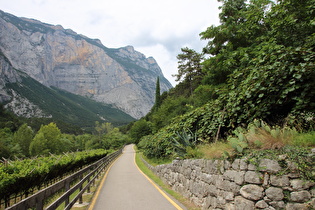 am Südrand der Marocche di Dro, Blick talaufwärts zur Abbruchstelle am Monte Brento