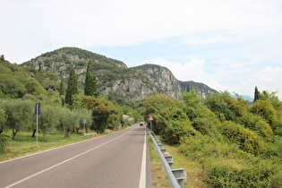 östlich von Punta San Vigilio, Blick auf Monte Bre, dahinter Monte Are, dahinter Monte Luppia