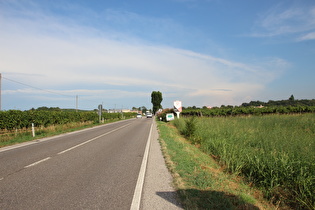 östlich von Castelnuovo del Garda, Blick nach Osten, …