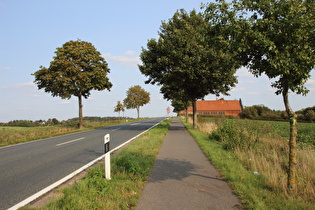 Kollrothshöhe, Westrampe, Blick auf Kollrothshöhe …