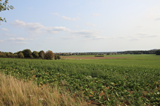 … und Blick über Hannover Richtung Harz