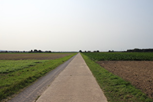 westlich von Kirchwehren, Blick nach Westen, …