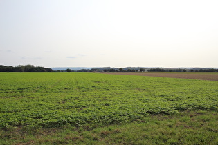 … und Blick nach Süden zum Stemmer Berg und den Deister am Horizont