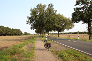 zwischen Gümmer und Lohnde, Blick auf Lohnde