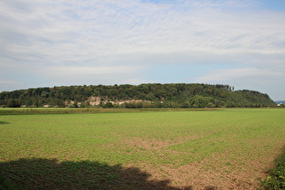 westlich von Tündern, Blick zum Ohrberg …