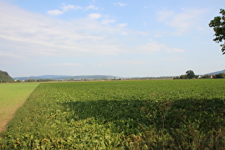 … und Blick auf Hameln, in Bildmitte das Heizkraftwerk Hameln