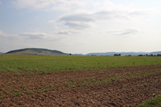 zwischen Fähranleger Grohnde und Hajen, Blick zum Eichberg und den Vogler