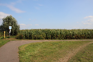 Kreisgrenze zwischen den Landkreisen Hameln-Pyrmont und Holzminden, Blick in den Landkreis Holzminden …