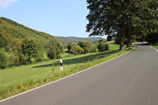 L580 zwischen Rühle und Passhöhe, Blick über die unterste Kurve zum Ebersnacken