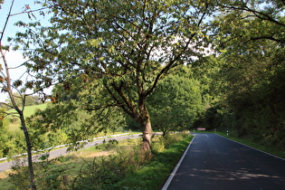 oberhalb der obersten Kehre, Blick in die Kehre …