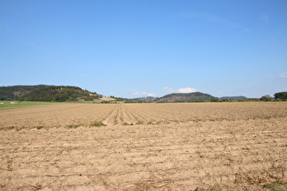 zwischen Golmbach und Negenborn, Blick auf Holenberg, …