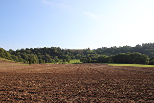 nordwestlich von Wangelnstedt, Blick zum Waseberg