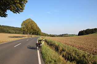 Leinebergland (Pass zw. Wangelnstedt & Lüthorst)