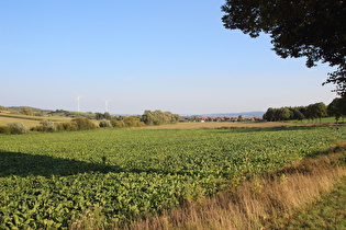 etwas weiter, Blick über Lüthorst nach Süden