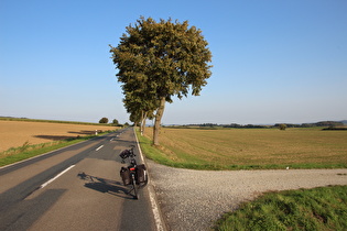 zwischen Lüthorst und Amelsen, Blick nach Osten, …