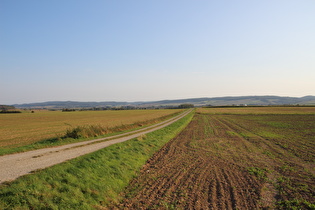 … und Blick nach Süden auf Ahlsburg und Ellenser Wald