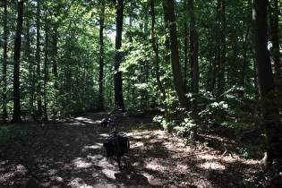 erster Sattelpunkt der Tour auf dem Benther Berg